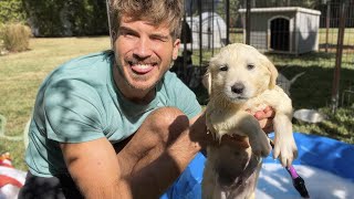 Giving My STINKY Husky Puppies Their First Bath!