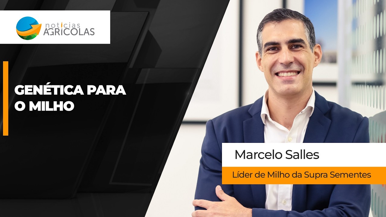 Como a genética pode ser o próximo salto de produtividade para o milho