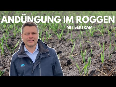 Von Experten für Profis: Andüngung im Roggen