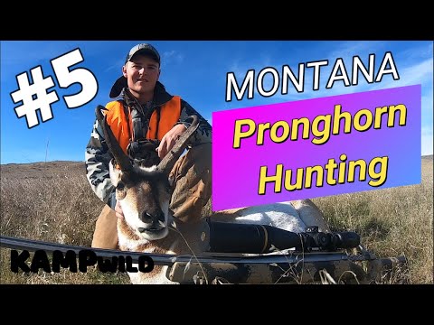 Dangerous Dogs!  ~  Pronghorn Hunting [Antelope]  ~  Part #5  ~  Lavina, MONTANA