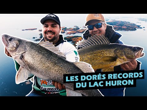 Les DORÉS RECORDS du Lac Huron | Roadfish - Saison 8 Épisode 4