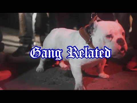 HEF4300 x Foe Deuce x Foe DeeOz - GANG RELATED Shotby @iThinkWeGotIt