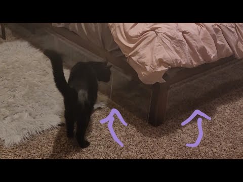 under-bed (cat) barrier using plexiglass