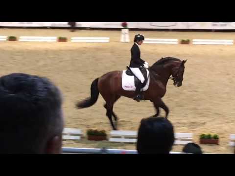 Winner of 6 yr final Copa ANCCE (PRE) SICAB 2017 - 82,60