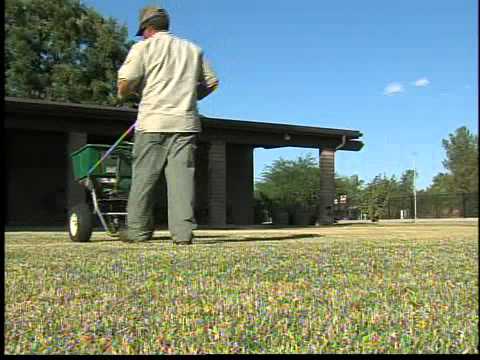 Homeowners say "NOW" is the time if you want to reseed