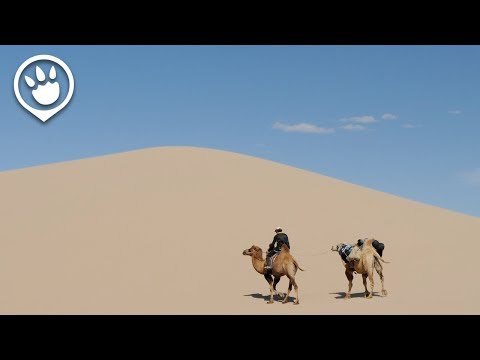 TripZilla Philippines: Walang Visa, Walang Problema!