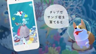 アビスリウム 034 Bo 横 コーギー説明
