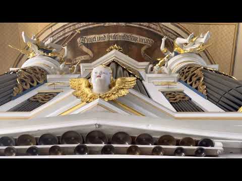 Register Thielemann Orgel Gräfenhain, Orgel Vlog AHS