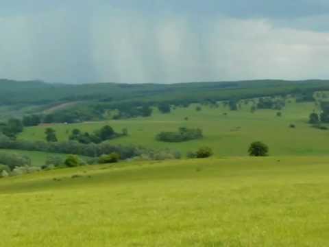 Another boring day at the office XXVII: habitat of Aquila pomarina (Cingar, Arthur)