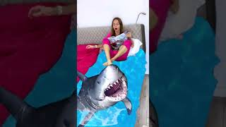 Download lagu How to See Shark? #Shorts by Anna Kova mp3