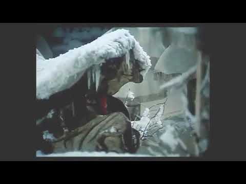 Herr Fuchs und Frau Elster: Eine große Überraschung - Unser Sandmännchen - 24.12.2025