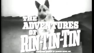 Meet Rin Tin Tin [S1, Ep1] The Adventures of Rin Tin Tin