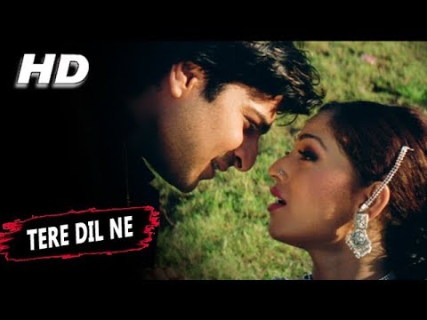 Poster tere dil ne