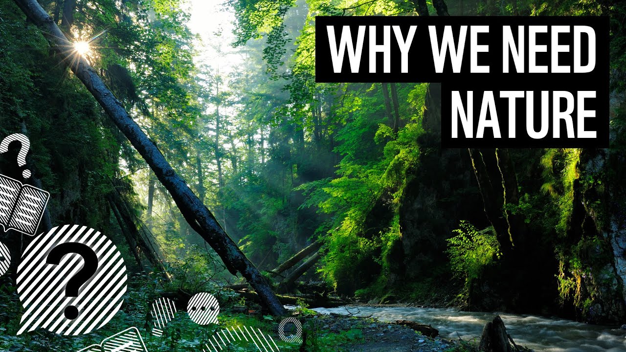 Why do we need nature? | WWF