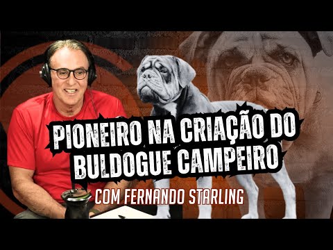 Vídeo 2