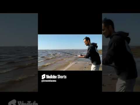 pesca en arocena en santa fe #shorts #pesca #pescando 2