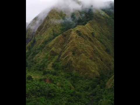 Mt. Nangtud 2nd Highest Mountain in Panay #Barbaza Antique #Shorts