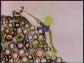 Sesame Street The O Song