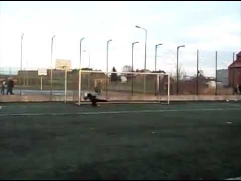 Parady Wojtasa 2 (Radomiak Radom 96)