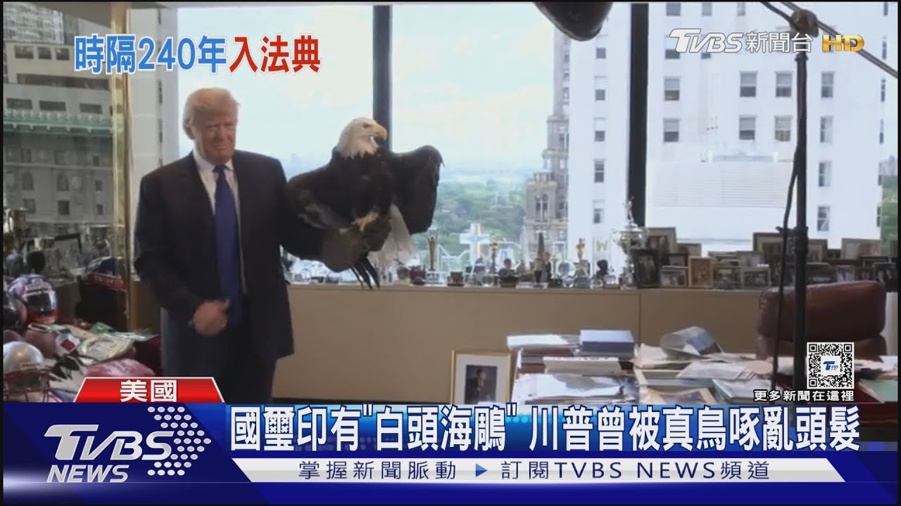 遲來242年! 拜登簽署法案「白頭海鵰」列美國國鳥