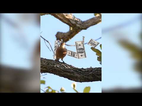 NAFAN 53 ft Isma & Sema - Furnace (243INC)