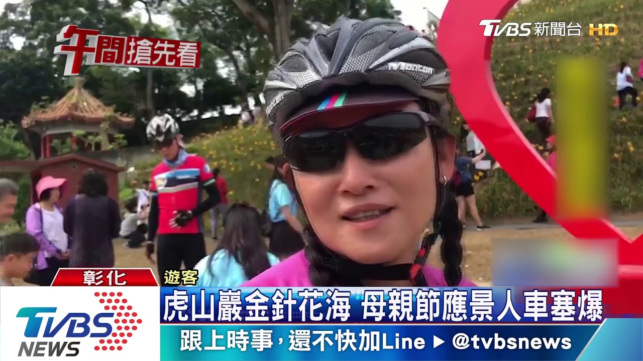 虎山巖金針花海 母親節應景人車塞爆