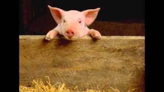 Labveligais Tips Aluminija cuka deutsch