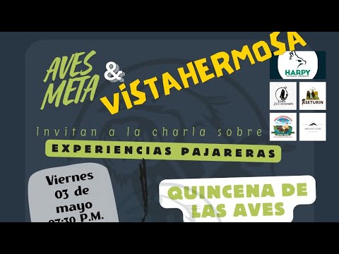 Experiencias pajareras-Vistahermosa