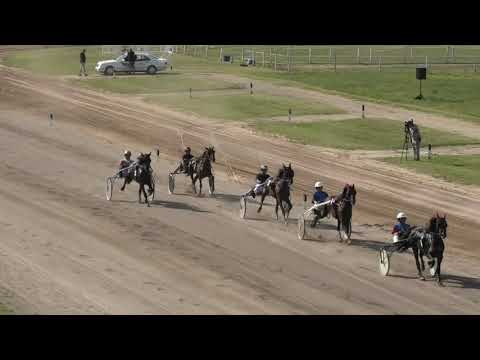 Trka "Farma Mačković-Ljutovo" 31.07.2021 Super Globus - Nemanja Mašić