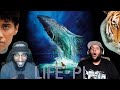 Life Of Pi 2012 First Time Watching FRR Formal Request