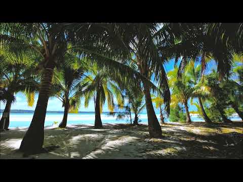 Entspanne dich an einen Strand am Meer mit Wellengeräuschen im Hintergrund