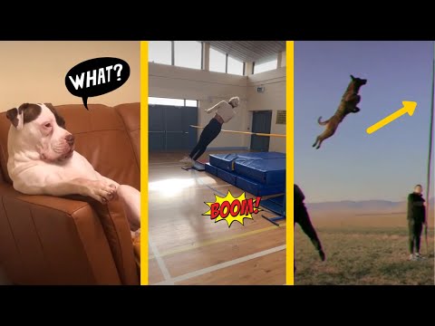 Amazing People 2020 TIK TOK
