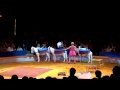 Big Apple Circus