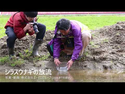 国際経済学科 シラスウナギの放流