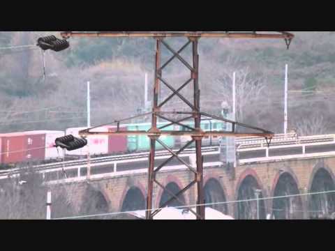 Mercioni a confronto