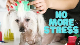 Stress Free Grooming