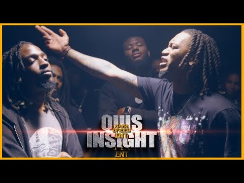 Insight vs Quis
