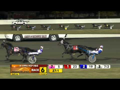 Meadowlands November 15, 2014 - Race 6 - Aslan