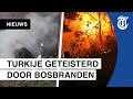 Beelden: bosbranden bedreigen Nederlandse vakantiegangers