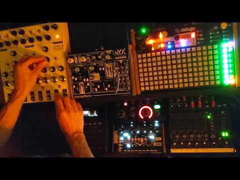 Exploring the Lyra 8 Organismic Synthesizer