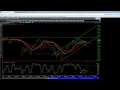 clueless8_trading free market webinar