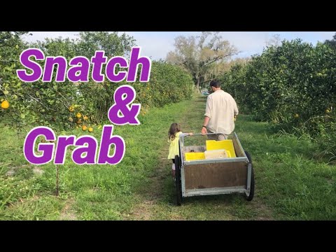Snatch & Grab (Becoming a Gibborim) Part 13