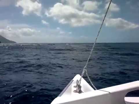 navigazione in catamarano verso i Pitons di Santa Lucia