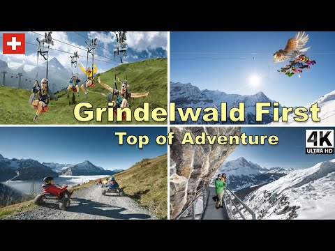 Grindelwald First, Switzerland 🇨🇭 4K | Top of Adventure : The Ultimate Guide