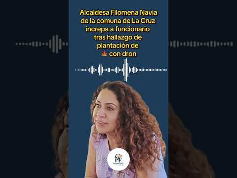 🚨 Audio Alcaldesa comuna de la cruz, Región de Valparaíso