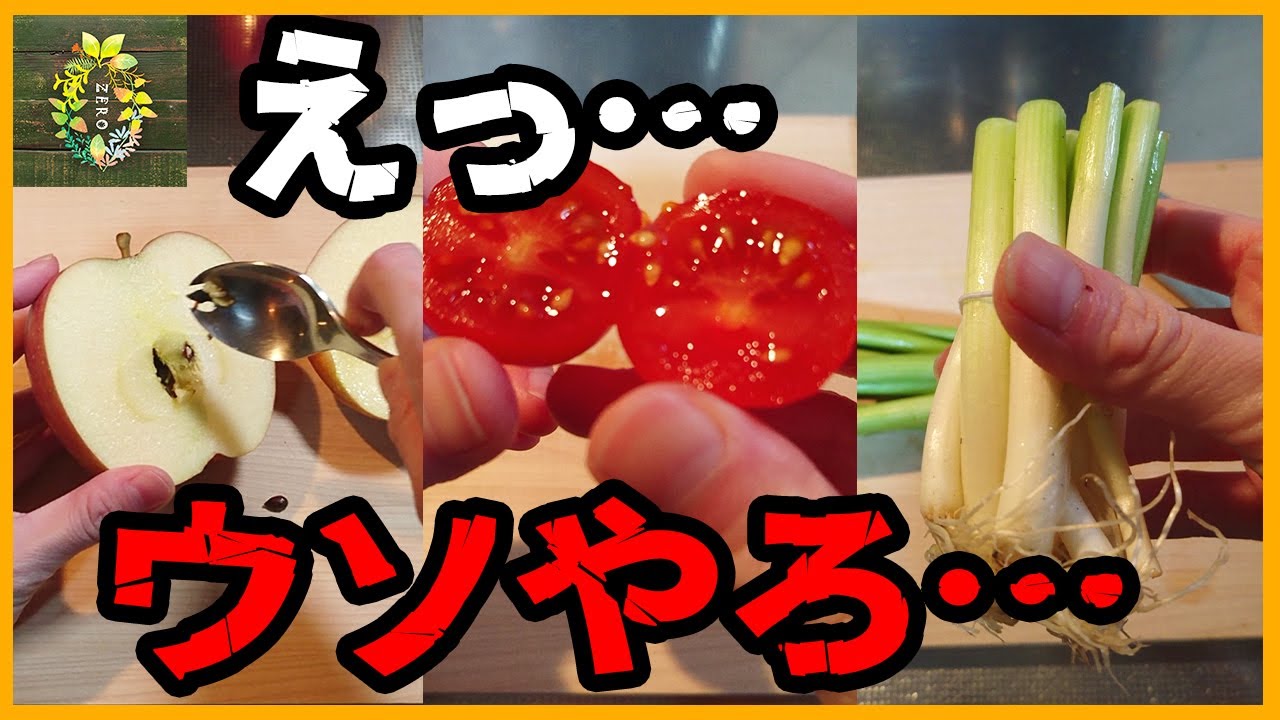 スーパーで買った野菜や果物の恐ろしさが分かる動画【完全版】3