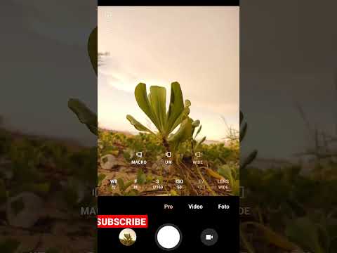 Pro Mode #photography #camera #photooftheday