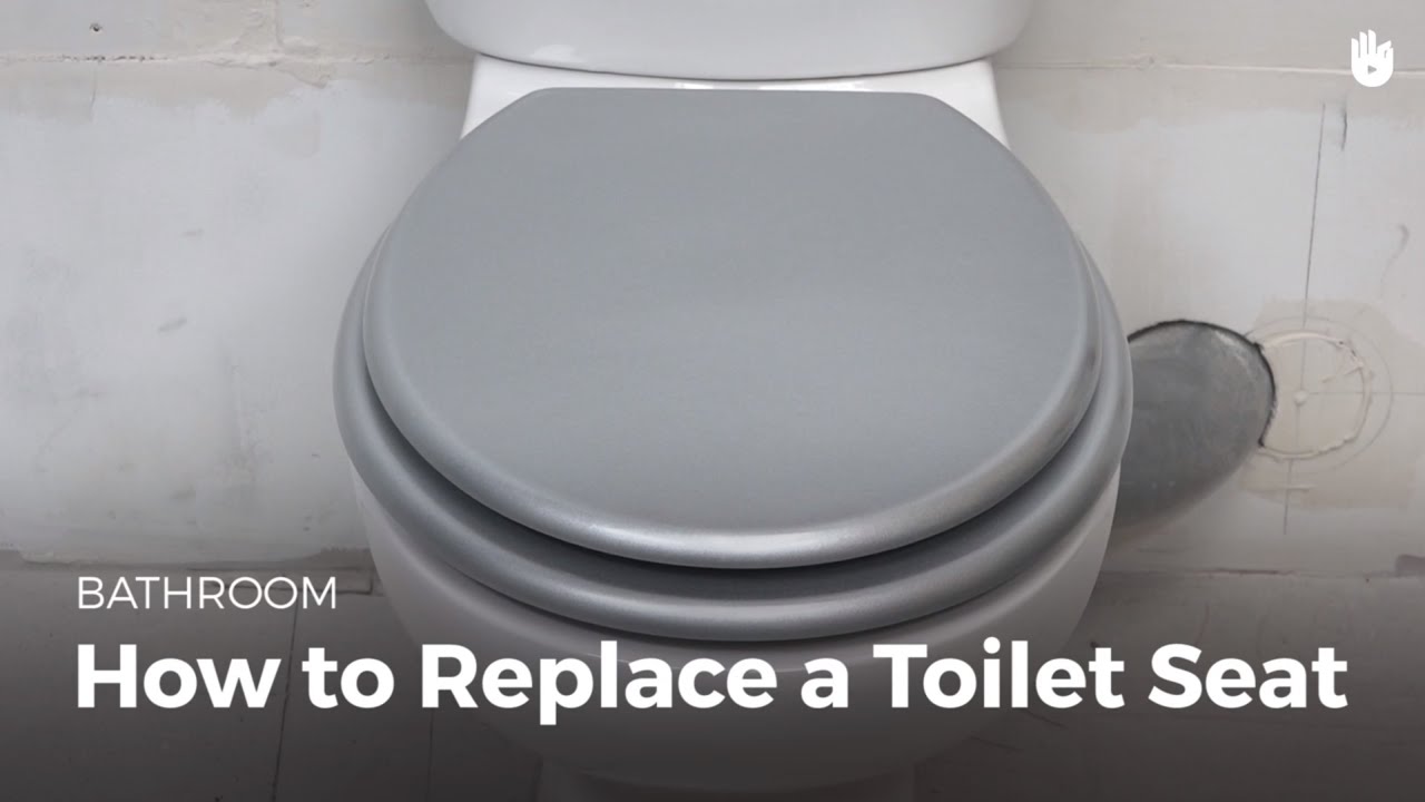 How to Replace a Toilet Seat Household DIY Projects Sikana