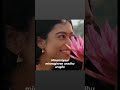 Minnalena Song Malayalam Love Film Tovino Narivetta Tamil Youtube Youtubeshorts Song