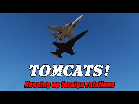 TOMCATS!  Keeping Up Foreign Relations in DCS